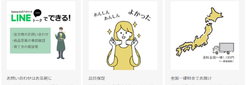 �ꗬ�z�e���̃E�F�f�B���O����|�����Ƃ̉ԉ����T�C�g